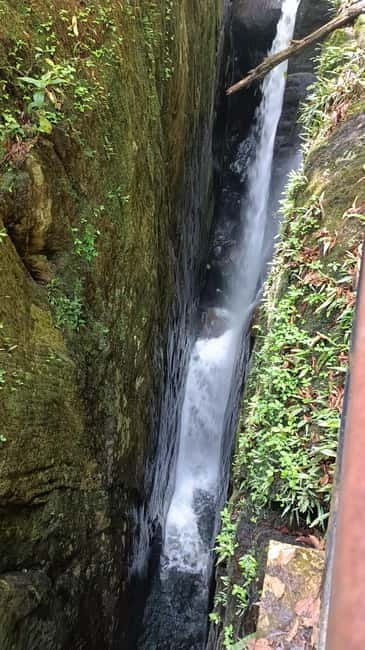 Sinharaja Rainforest: Tour with 5 Waterfalls Trek - Is This Tour for You? Fitness, Age, and Health Fit