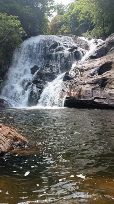 Sinharaja Rainforest: Tour with 5 Waterfalls Trek - The Coast-to-Sinharaja Transfer and Your First Big Water Moment