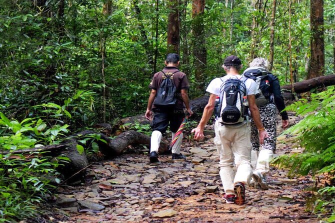 Sinharaja Rainforest Trekking Private Day Trip with Local Lunch - Sinharaja Forest Reserve: the UNESCO gene bank part