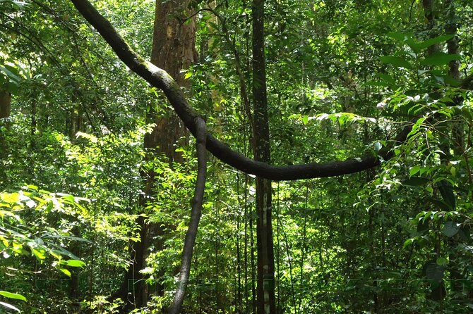 Sinharaja Rainforest Trekking Private Day Trip with Local Lunch - Price and what you’re really paying for (at $120 per person)