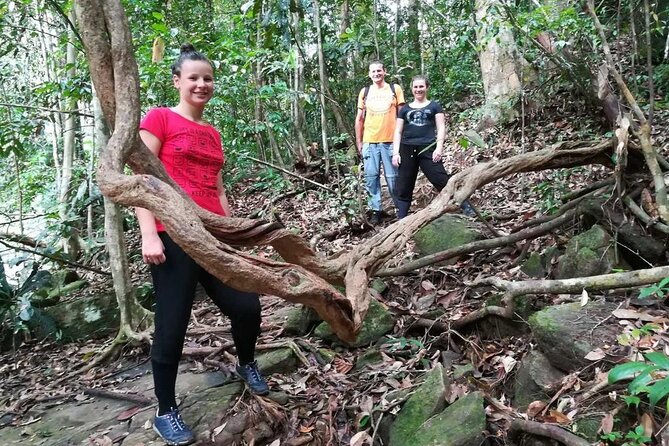 Sinharaja Rainforest Trekking Private Day Trip with Local Lunch - Who this private Sinharaja trek is best for