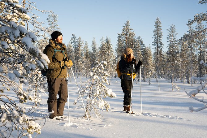 Ski Trek to the Wilderness - Extra Small group - Ski Trek to the Wilderness: A small-group Lapland day, not a cattle-call