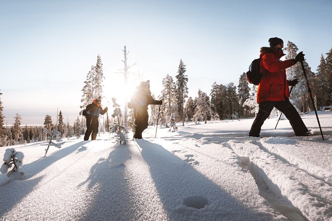 Ski Trekking Safari in Lapland - The “no extra luggage” setup you’ll really appreciate