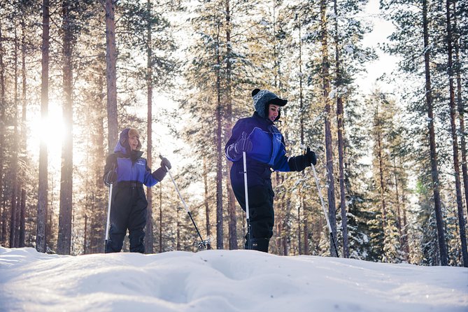 Ski Trekking Safari in Lapland - What the route is like: forest, fresh tracks, and changing snow