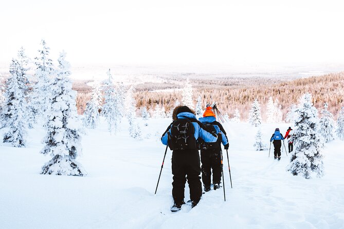 Ski Trekking Safari in Lapland - The skill level: beginner-friendly, but you still need to participate