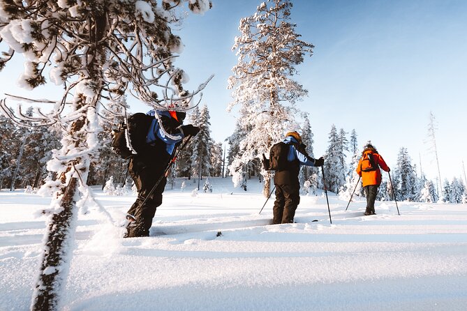 Ski Trekking Safari in Lapland - Private by design: how it changes your experience