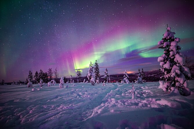 Ski Trekking under the Northern Lights - Ski Trekking under the Northern Lights: Key things you’ll notice fast