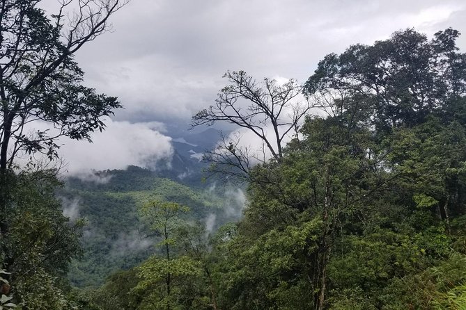Small Group - Bach Ma National Park Trekking Tour From Hue - Five Lakes at Lake 3: Lunch, Swimming, and Rock-Time