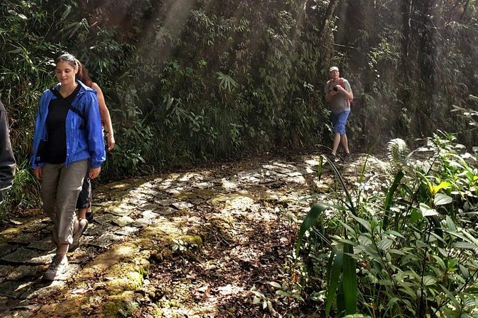 Small Group - Bach Ma National Park Trekking Tour From Hue - Transport Rhythm: How the Day Stays Moving