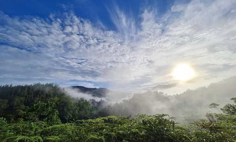 Sri Lanka : Sinharaja Rainforest Guided Trek with Pickup - Your Guide Matters: Alagaraja, Thishani, and Mahinda’s Style