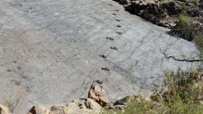 Sucre: 2 days trek in Inca Trails and the Crater de Maragua - Maragua Crater at Night: Viewpoints, Devil’s Throat, and Wildlife