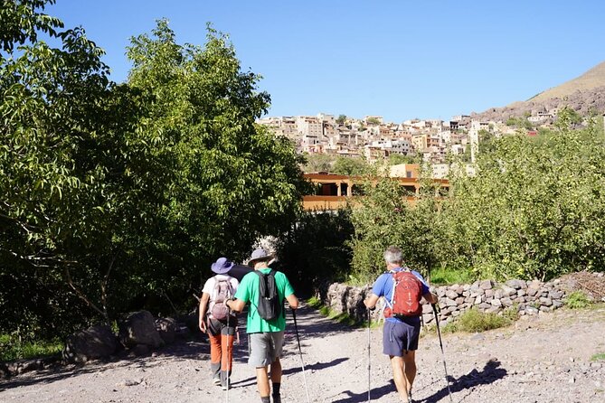 Summiting and Hiking the Atlas Mountains Day Trek from Marrakech - Guides, Group Size, and Pace: Why It Feels Managed