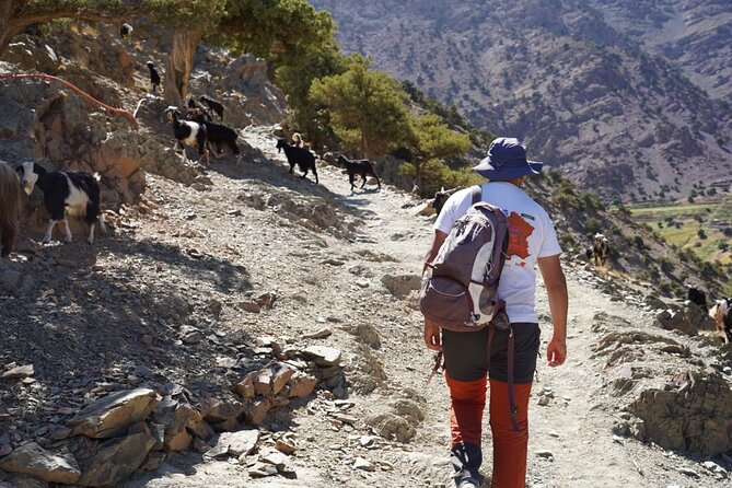 Summiting and Hiking the Atlas Mountains Day Trek from Marrakech - Weather, Snow, and What to Pack for October–April