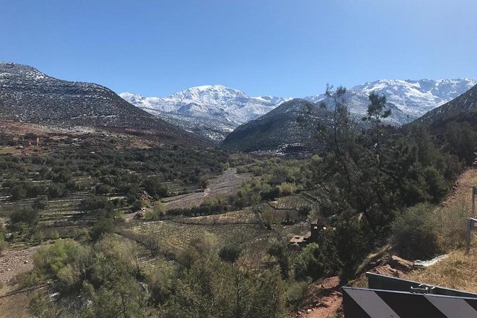 Summiting The Atlas Mountains, Day Hike & Trek From Marrakech - Camel ride included: a fun break, not a gimmick