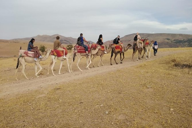 Summiting The Atlas Mountains, Day Hike & Trek From Marrakech - Should you book this Atlas Mountains day hike?