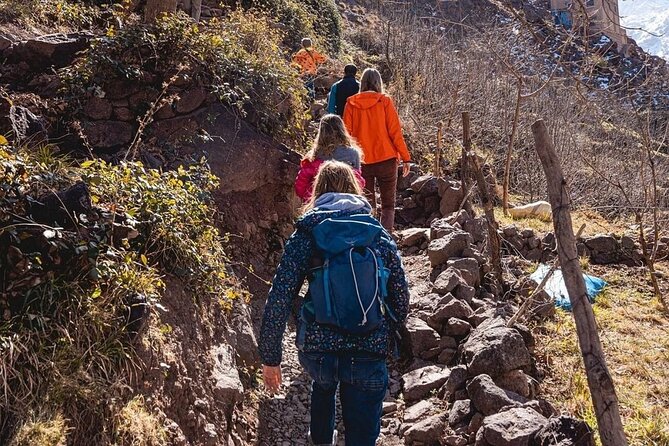 Summiting the Beautiful Atlas Mountains, Day Hike & Trek - Azrou, argan bread, and a brief look at how locals make a living
