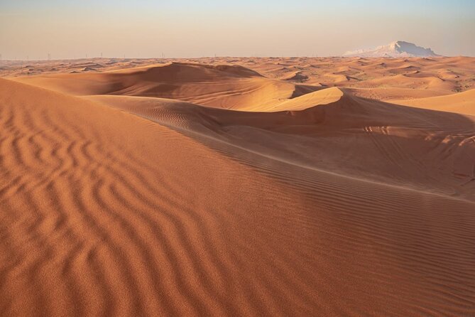 Sunrise/Morning Dune Drive with Camel Trek & Sand Surfing - Dune Bashing: The 30-Minute Roller Coaster (With a View)