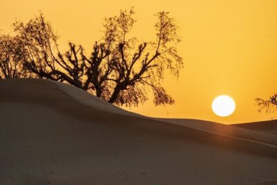 Sunrise/Morning Dune Drive with Camel Trek & Sand Surfing - The First Big Hit: Sunrise Photo Stop and Early Desert Views