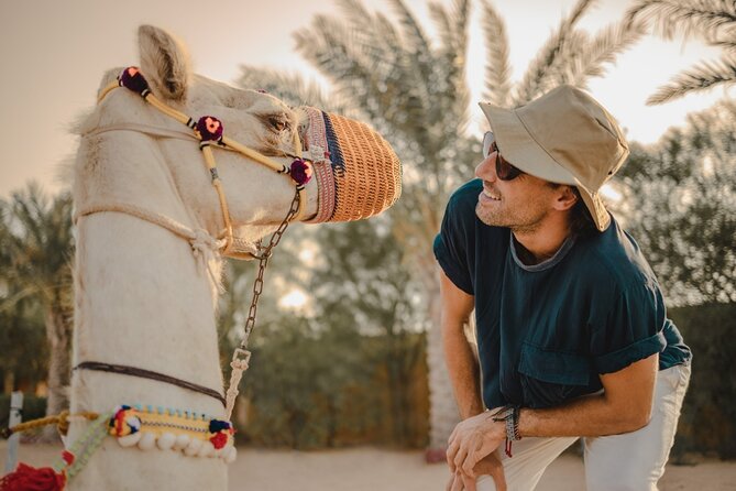 Sunrise/Morning Dune Drive with Camel Trek & Sand Surfing - Camel Trek (20 Minutes): The Calm Counterpoint