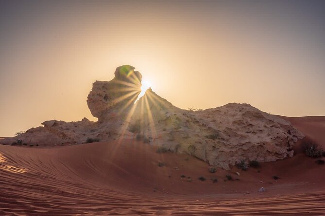 Sunrise/Morning Dune Drive with Camel Trek & Sand Surfing - Falcon Photo Included, But Timing Can Matter
