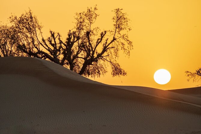 Sunrise/Morning Dune Drive with Camel Trek & Sand Surfing - The First Big Hit: Sunrise Photo Stop and Early Desert Views
