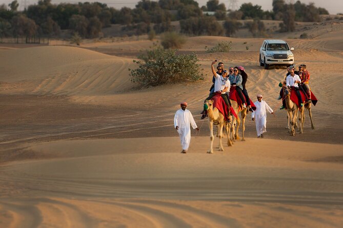 Sunset Camel Trekking with Falcon Show & VIP BBQ Dinner - Sunset Camel Trekking in Dubai: What you’re really buying
