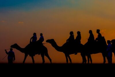 Sunset Camel Trekking with Falcon Show & VIP BBQ Dinner - Price and value: why $70 can make sense (or not)