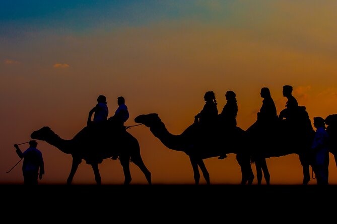 Sunset Camel Trekking with Falcon Show & VIP BBQ Dinner - Price and value: why $70 can make sense (or not)