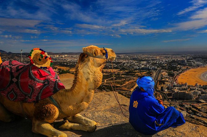 Tangier city break : Scenic Drive and Camel Trek - Achakar Camel Ride: The Included Trek on the Atlantic Coast