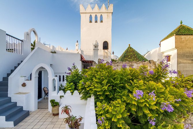 Tangier city break : Scenic Drive and Camel Trek - La Montagne and the Writer-Lured Tangier Scene