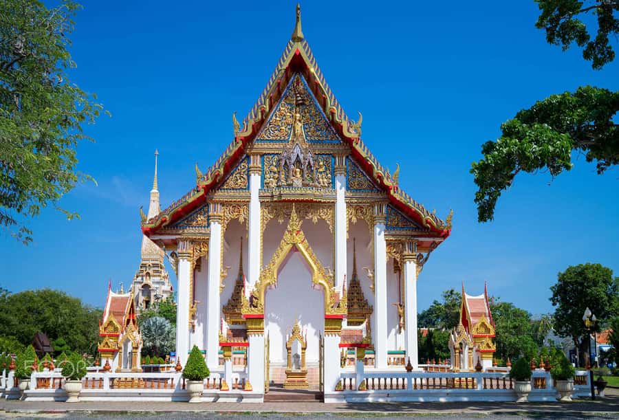 Temple and Jungle Trekking tour with Lunch at Farm-to-Table - Should you book it? My honest take