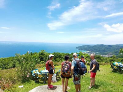 Temple and Jungle Trekking tour with Lunch at Farm-to-Table - The jungle hike to Big Buddha Hill: plants, steep steps, and monkey odds