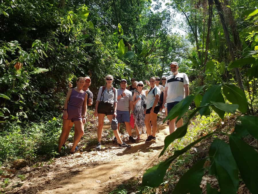 Temple and Jungle Trekking tour with Lunch at Farm-to-Table - Farm-to-table Thai lunch: organic ingredients and locally sourced smoothies