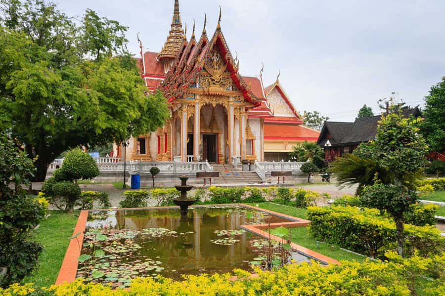 Temple and Jungle Trekking tour with Lunch at Farm-to-Table - Price and logistics: why $49 can be good value for this exact combo