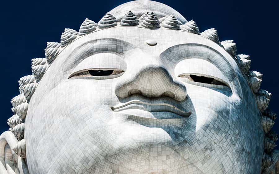 Temple and Jungle Trekking tour with Lunch at Farm-to-Table - Who this tour suits best in Phuket