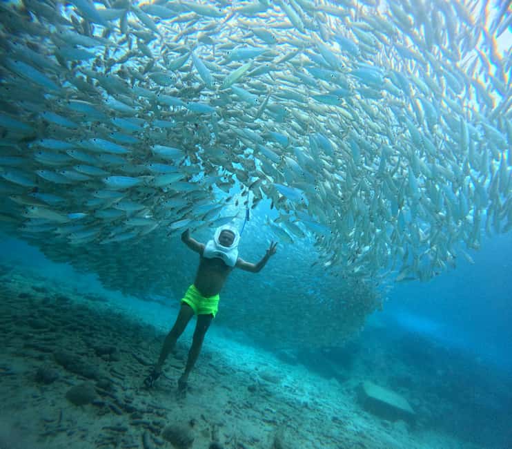 Tenerife: Underwater Walk - Sea Trek Experience - Key Highlights You’ll Care About