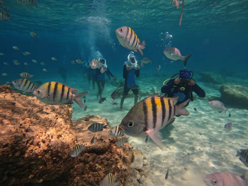 Tenerife: Underwater Walk - Sea Trek Experience - Sea Trek in Tenerife: What the Helmet Walk Actually Feels Like