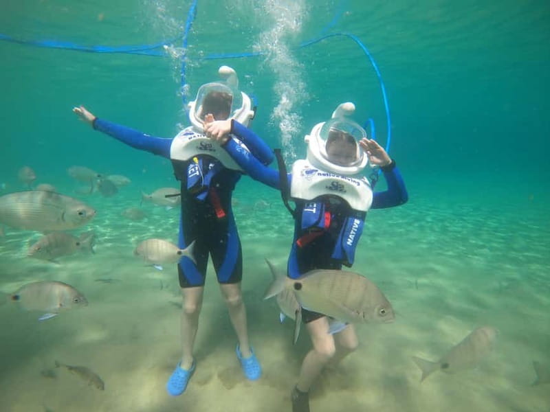 Tenerife: Underwater Walk - Sea Trek Experience - The Underwater Walk: 20–25 Minutes of Fish Up Close