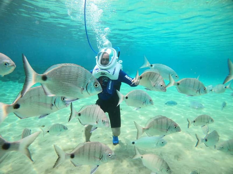 Tenerife: Underwater Walk - Sea Trek Experience - Photos and Videos: The €25 Add-On You Might Want