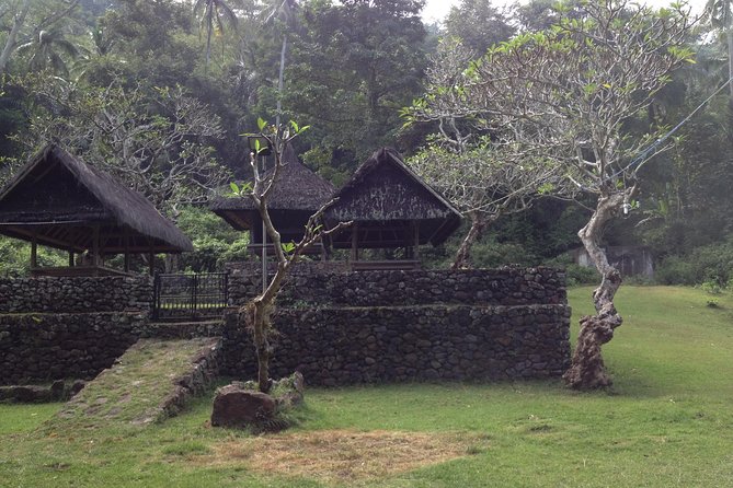 Tenganan Village Rice Field Trekking Tour - Rice terraces to Tenganan: what this East Bali trek really feels like