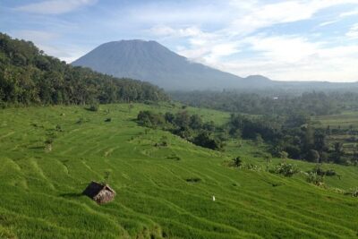 Tenganan Village Rice Field Trekking Tour - Getting picked up from Candidasa or South Bali without losing time