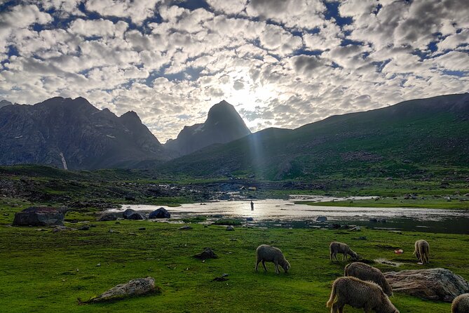 The Best Monsoon Trek: Kashmir Great Lakes - Day 3: Nichinai Pass (~4,100 m) and the walk toward Vishansar Lake