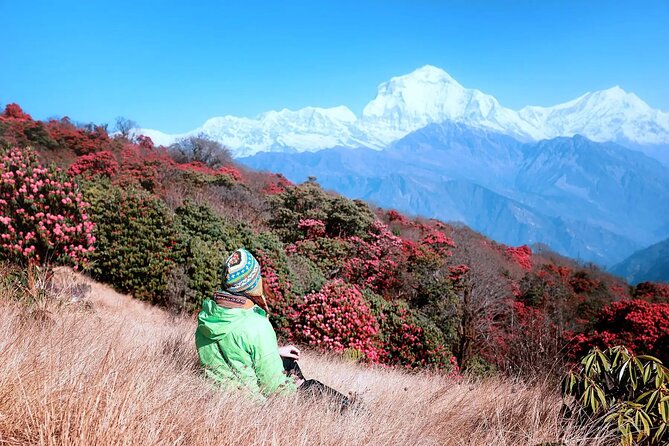 The Best of Nepal : 5-Day Trek to Ghorepani Poon Hill & Ghandruk - From Pokhara Lakeside to Ulleri: The Trek Starts With a Real Transition