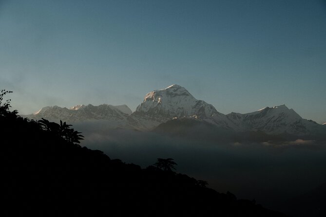 The Best of Nepal : 5-Day Trek to Ghorepani Poon Hill & Ghandruk - Guides Who Actually Manage the Day (Bidur, Rajesh, Poma)