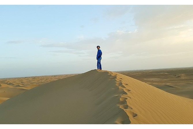 The secret of the camel trekking desert - What the secret of camel trekking really delivers: solitude + real logistics