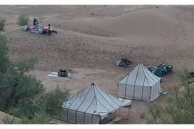 The secret of the camel trekking desert - Days 2–4: M’Hamid, Ras N’Khal, and the Erg walking rhythm