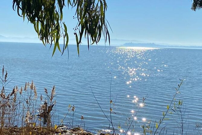 The spell of Lake Trasimeno - Trekking Tour - Entering Panicale’s Trek Zone: Why This Starts in the Right Place
