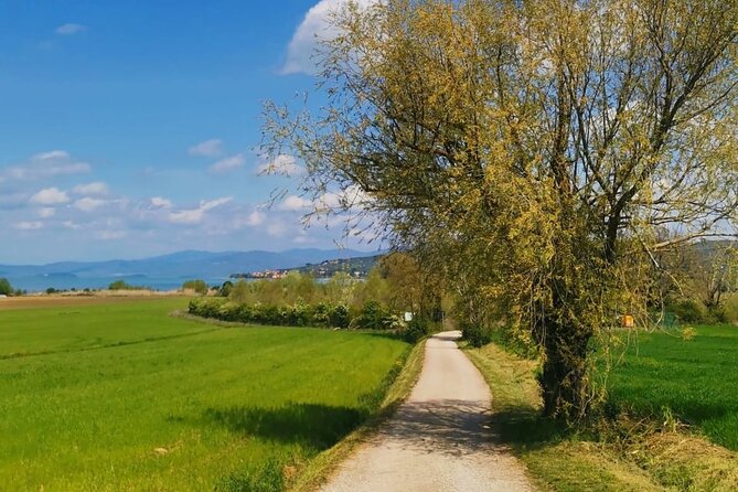 The spell of Lake Trasimeno - Trekking Tour - Lake Trasimeno and Its Three Islands: The Core Experience