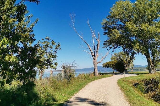The spell of Lake Trasimeno - Trekking Tour - The Loop Circuit: 10 km of Easy-Going Walking Through Panicale
