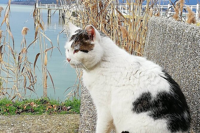 The spell of Lake Trasimeno - Trekking Tour - Martina the Guide: Warm Welcome, Strong Communication, and Local Help